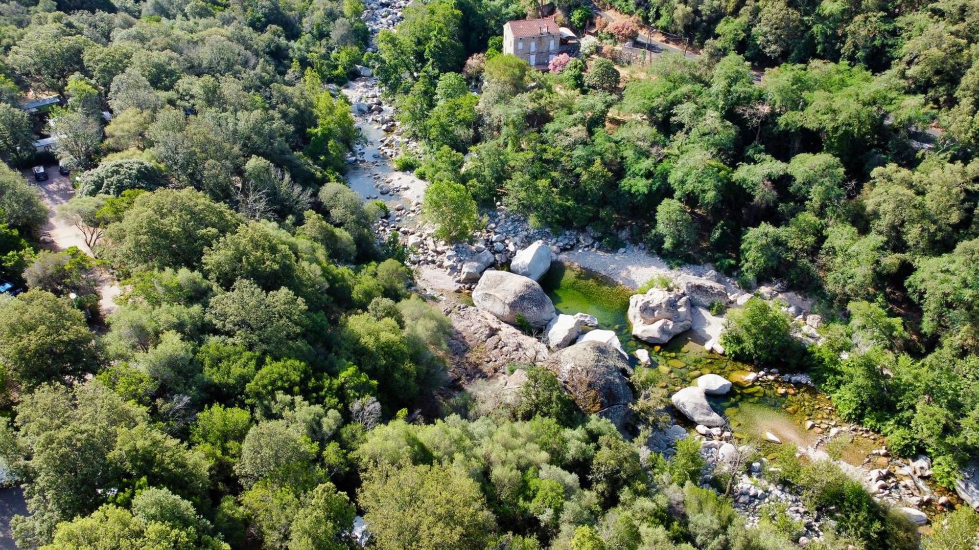 Camping Les Oliviers Porto  Exteriör bild