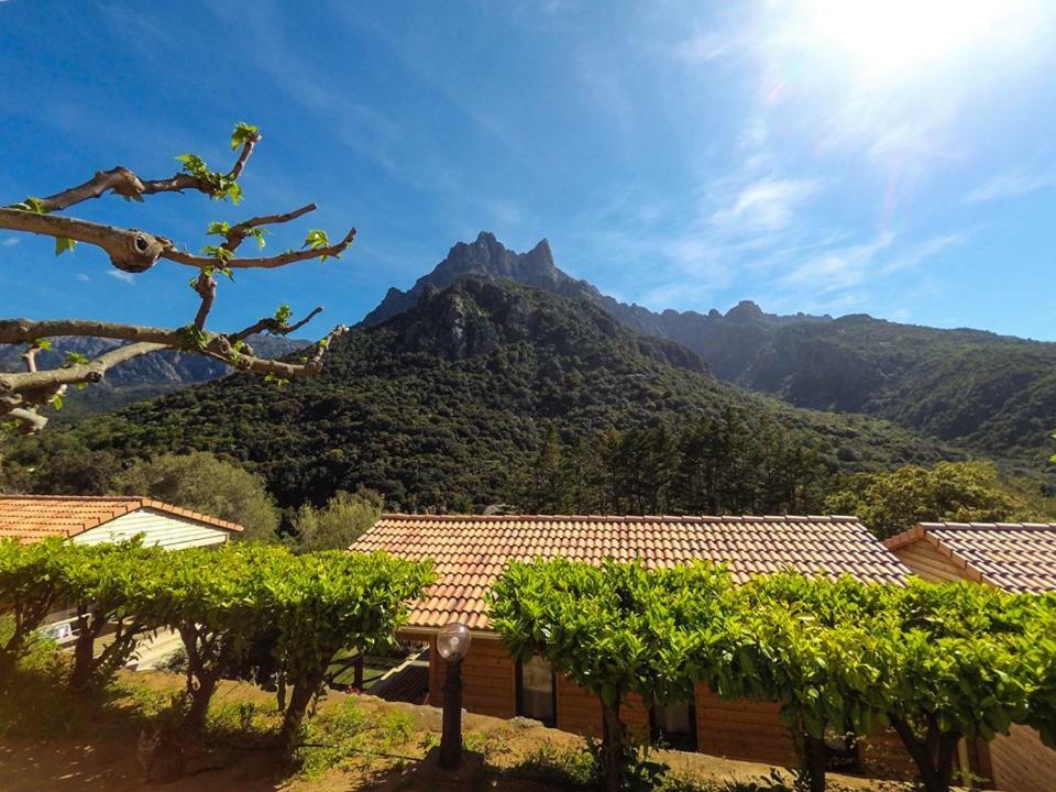 Camping Les Oliviers Porto  Exteriör bild